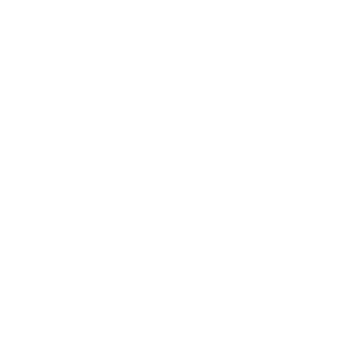 Native Chaos Holding logo